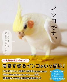 良書網 インコです。 出版社: ワニブックス Code/ISBN: 9784847092718