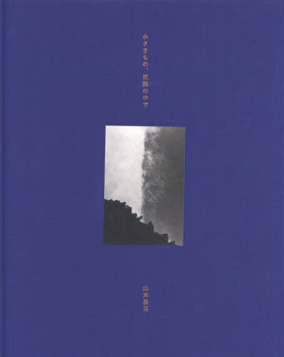 良書網 小さきもの、沈黙の中で 出版社: 青幻舎 Code/ISBN: 9784861524530