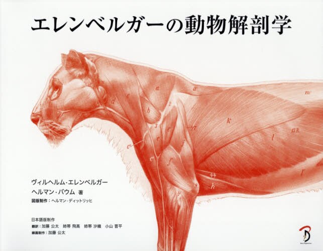 良書網 エレンベルガーの動物解剖学 出版社: ボーンデジタル Code/ISBN: 9784862464613