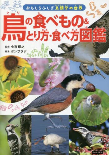 鳥の食べもの＆とり方・食べ方図鑑