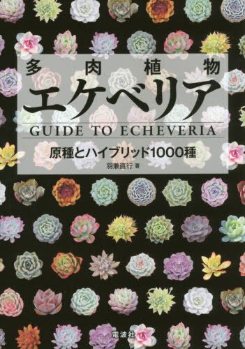 良書網 多肉植物エケベリア　原種とハイブリッド１０００種 出版社: 電波社 Code/ISBN: 9784864900386