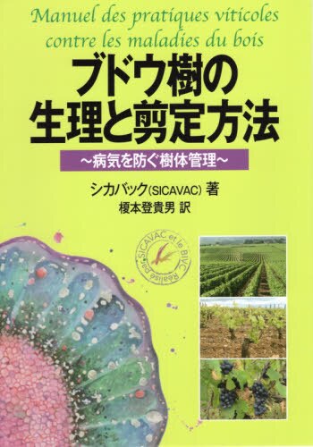 ブドウ樹の生理と剪定方法　病気を防ぐ樹体管理