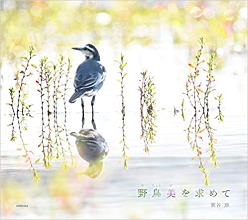 良書網 野鳥美を求めて 出版社: 青菁社 Code/ISBN: 9784883503353