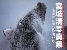 良書網 宮城清写真集　座頭鯨と海の仲間たち　慶良間の海の永遠を願って 出版社: 体育とスポーツ出版社 Code/ISBN: 9784884582524