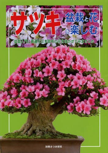 サツキ盆栽と花を楽しむ　盆栽入門に最適な日本固有の花を咲かせてみませんか