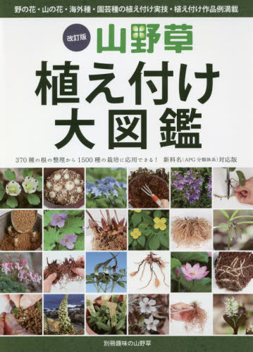 良書網 山野草植え付け大図鑑　野の花・山の花・海外種・園芸種の植え付け実技・植え付け作品例満載 出版社: 栃の葉書房 Code/ISBN: 9784886163752