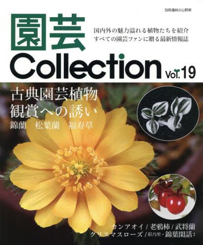 良書網 園芸Ｃｏｌｌｅｃｔｉｏｎ　Ｖｏｌ．１９ 出版社: 栃の葉書房 Code/ISBN: 9784886163936