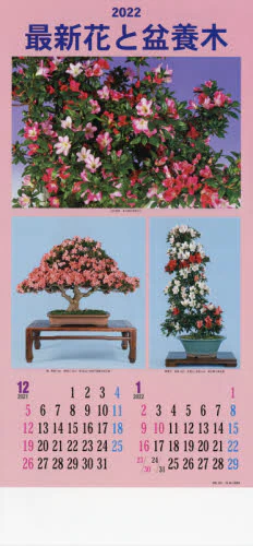 ’２２　最新花と盆養木カレンダー