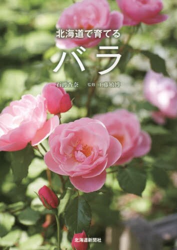 北海道で育てるバラ
