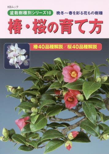 椿・桜の育て方