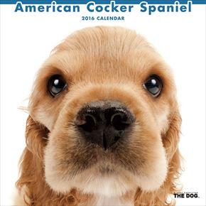 良書網 American Cocker Spaniel 2016 年曆 出版社: Try-X Code/ISBN: CL1103