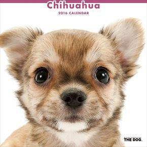 Chihuahua 2016 年曆