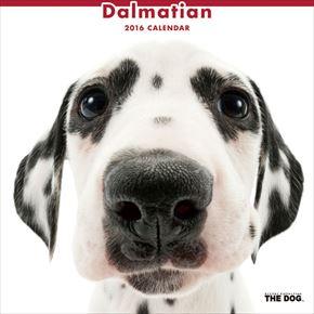 Dalmatian 2016 年曆
