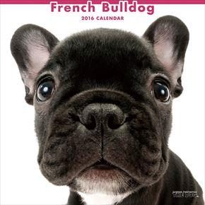 French Bulldog 2016 年曆