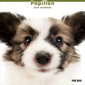 良書網 Papillon 2016 年曆 出版社: Try-X Code/ISBN: CL1128