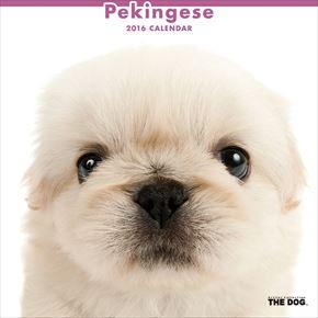 Pekingese 2016 年曆