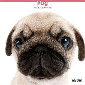 Pug 2016 年曆