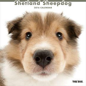 Shetland Sheepdog 2016 年曆