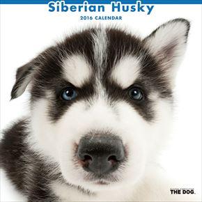 Siberian Husky 2016 年曆