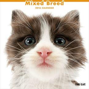 良書網 Mixed Breed 2016 年曆 出版社: Try-X Code/ISBN: CL1142