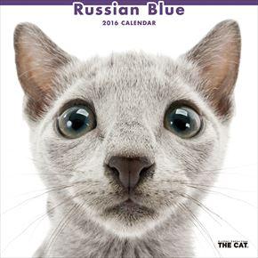 Russian Blue 2016 年曆