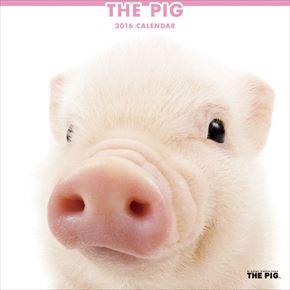 良書網 THE PIG 2016 年曆 出版社: Try-X Code/ISBN: CL1145