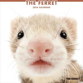 THE FERRET 2016 年曆