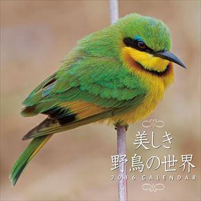 美しき野鳥の世界 2016 年曆