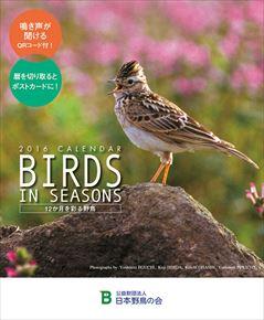 卓上 Birds in Seasons (日本野鳥の会) 2016 年曆