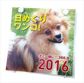 卓上 日めくりワンコ! 2016 年曆