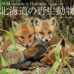 北海道の野生動物 2016 年曆