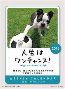 卓上 人生はワンチャンス! 2016 年曆