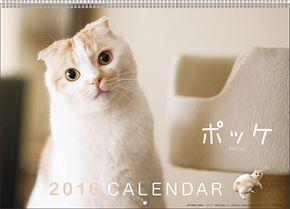 塩野瑛久 2015 日本年曆