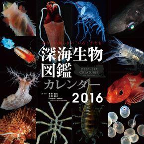 深海生物図鑑 2016 年曆