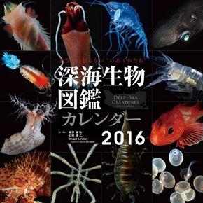 良書網 深海生物図鑑 2016 年曆 出版社: Try-X Code/ISBN: CL335