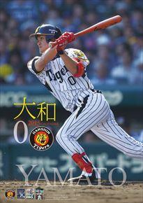 大和（阪神タイガース） 2015 日本年曆