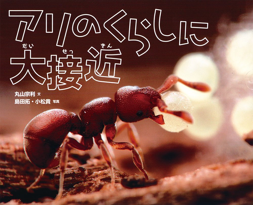 9784251098856 アリのくらしに大接近