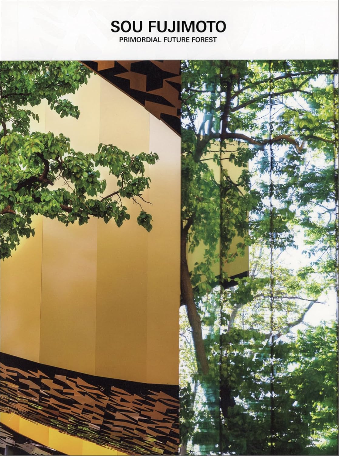 藤本壮介の建築　原初・未来・森